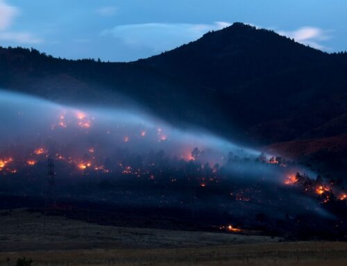 2026 Colorado Fire Code Considerations for Commercial Repairs and Tenant Improvements